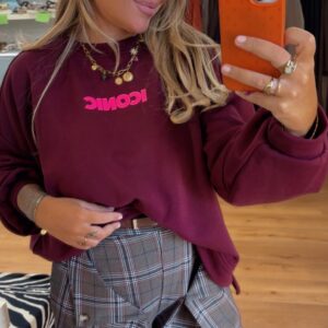 Sudadera Icónica 29€
